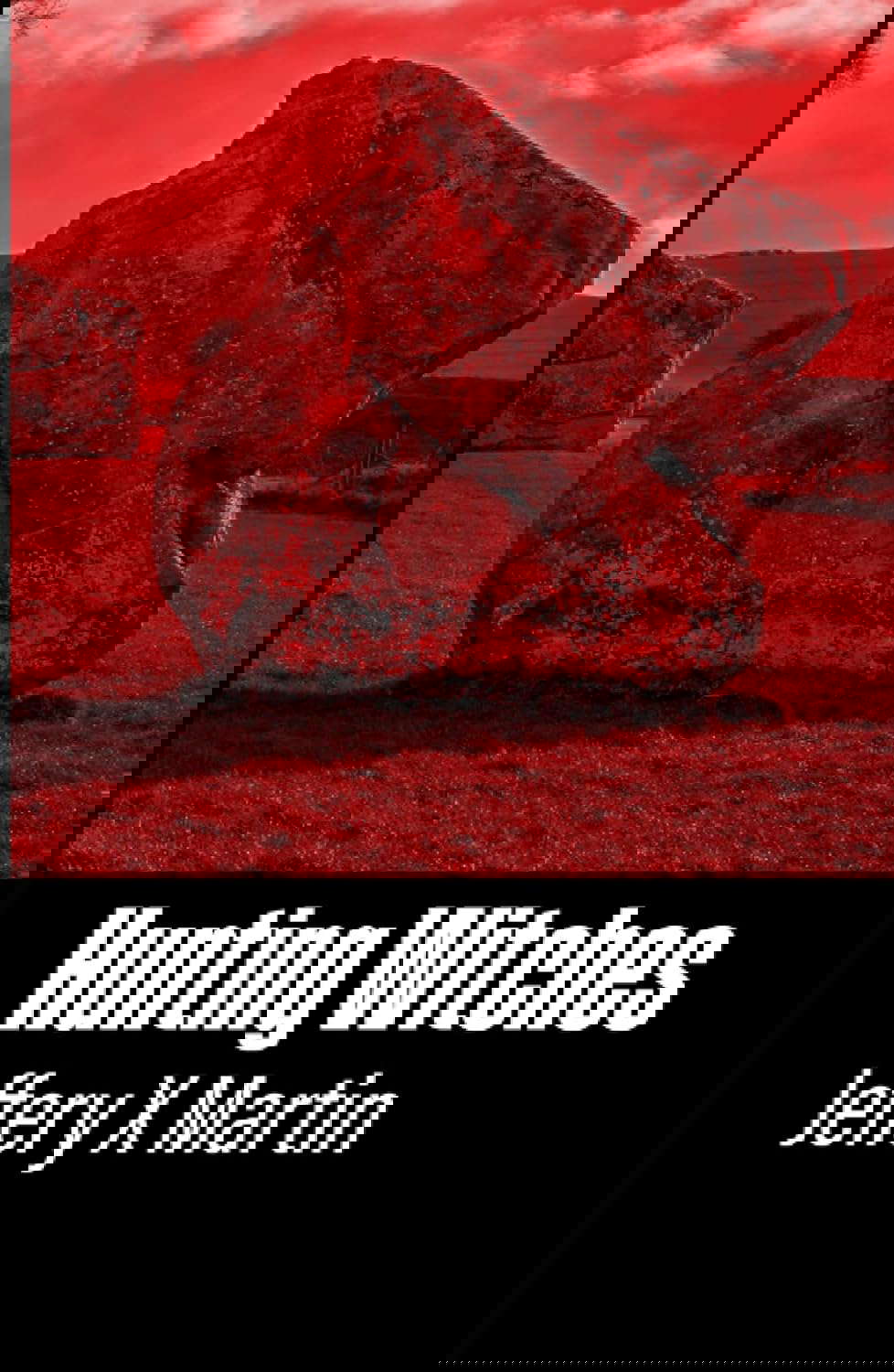 Hunting Witches poster