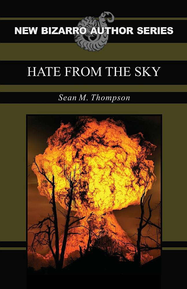 Hate From The Sky (New Bizarro Author Series) poster