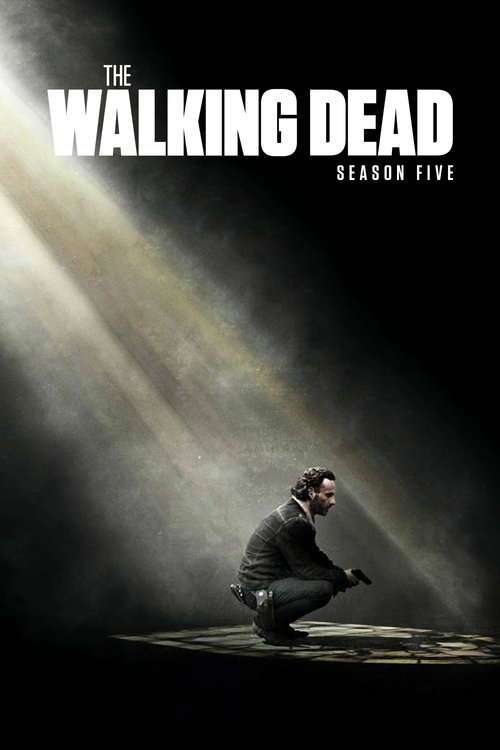 Season 5 poster