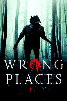 Wrong Places poster