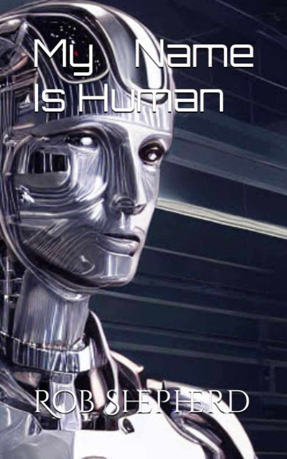 My Name Is Human poster