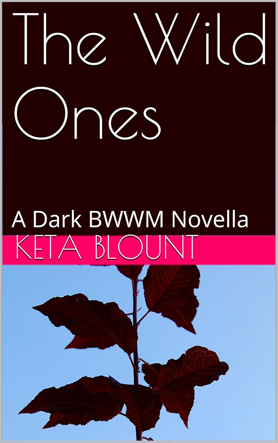 The Wild Ones: A Dark BWWM Novella poster