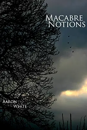 Macabre Notions poster