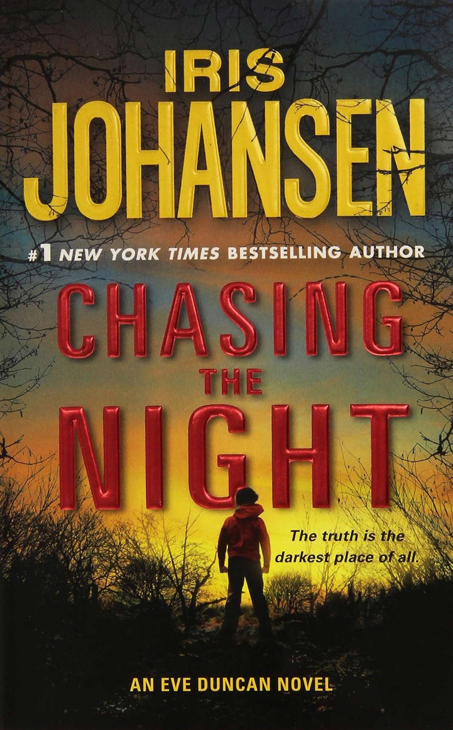 Chasing The Night (An Eve Duncan Novel) poster