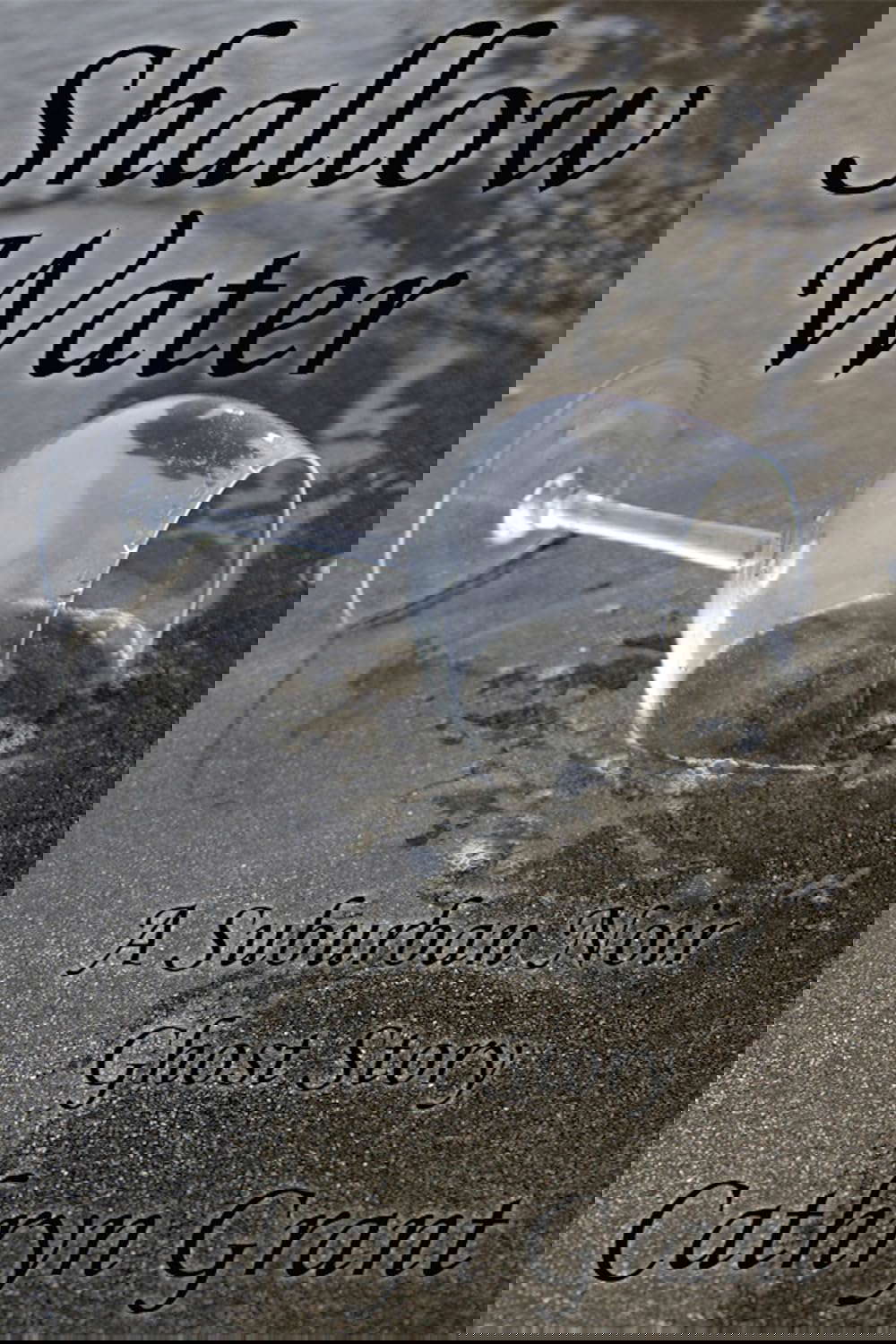 Shallow Water (A Suburban Noir Ghost Story #2) (Madison Keith) poster