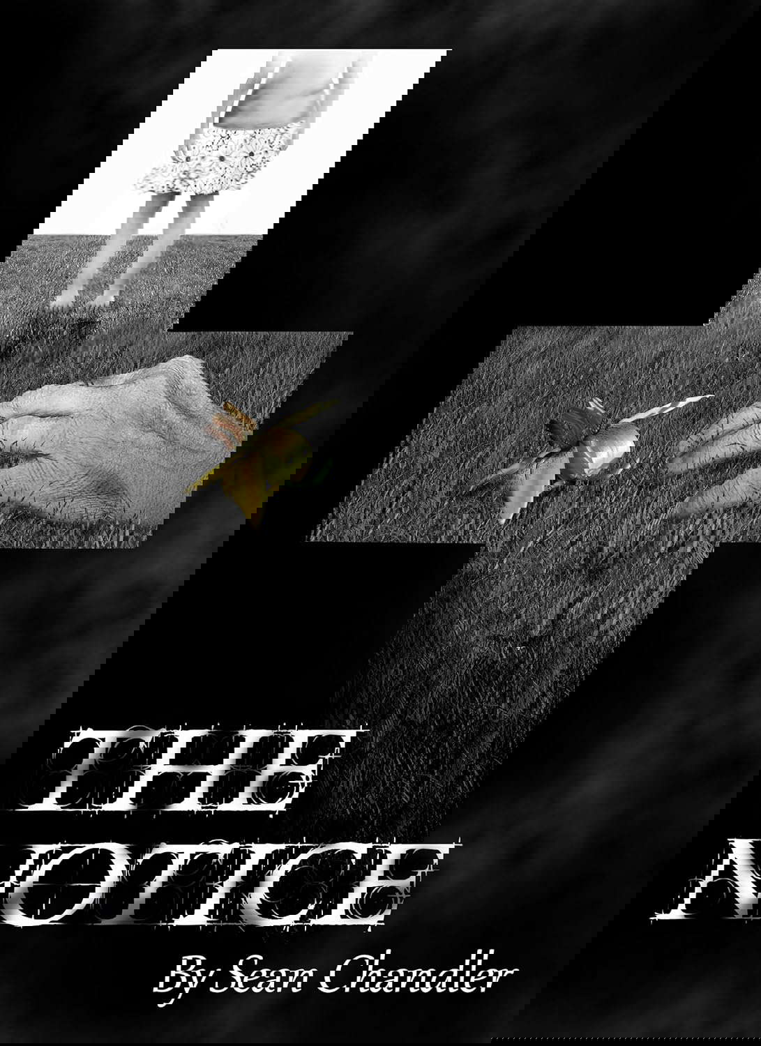 The Notice poster