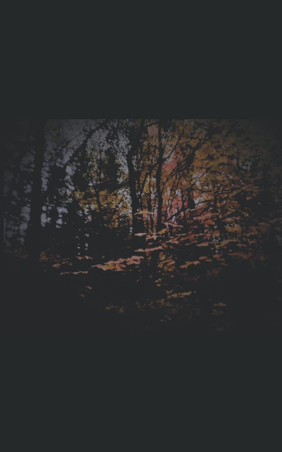 No Looking Back poster