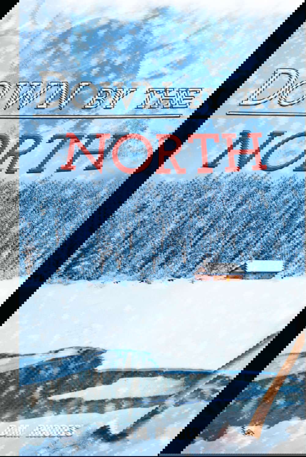 Down by the North poster