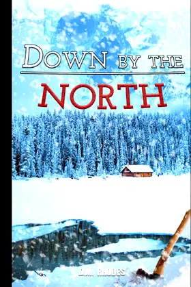Down by the North poster