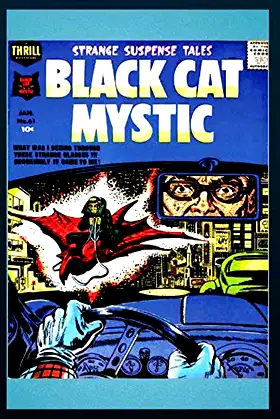 Black Cat poster