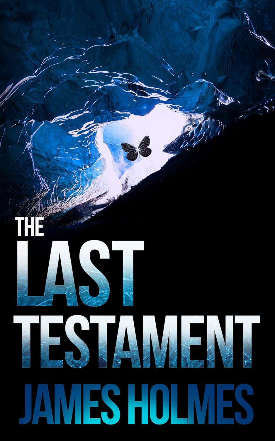 The Last Testament: The Last Disciple Book II: (An Apocalyptic Thriller) poster