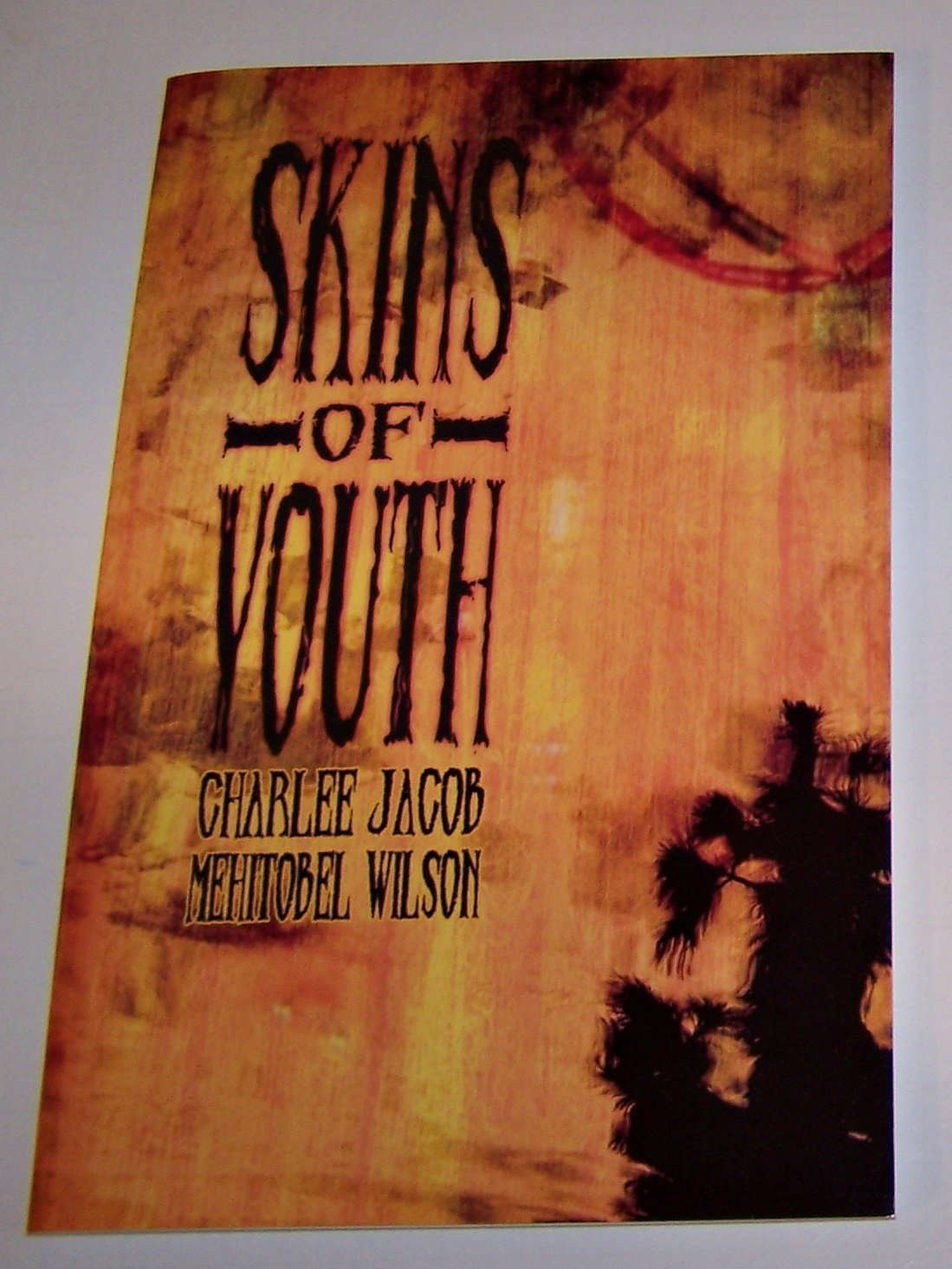 Skins of Youth poster