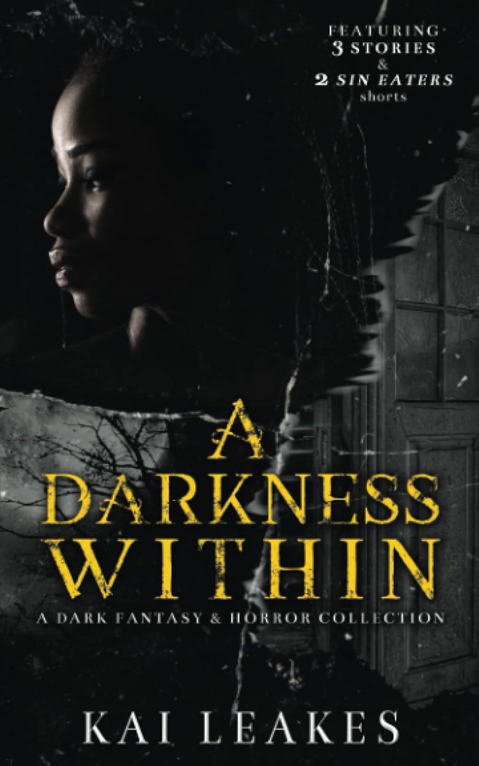 A Darkness Within: A Dark Fantasy & Horror Collection poster