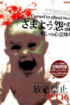 Broadcast Prohibited VTR! Wandering Vengeful Spirits: Cursed Ghost Zones poster