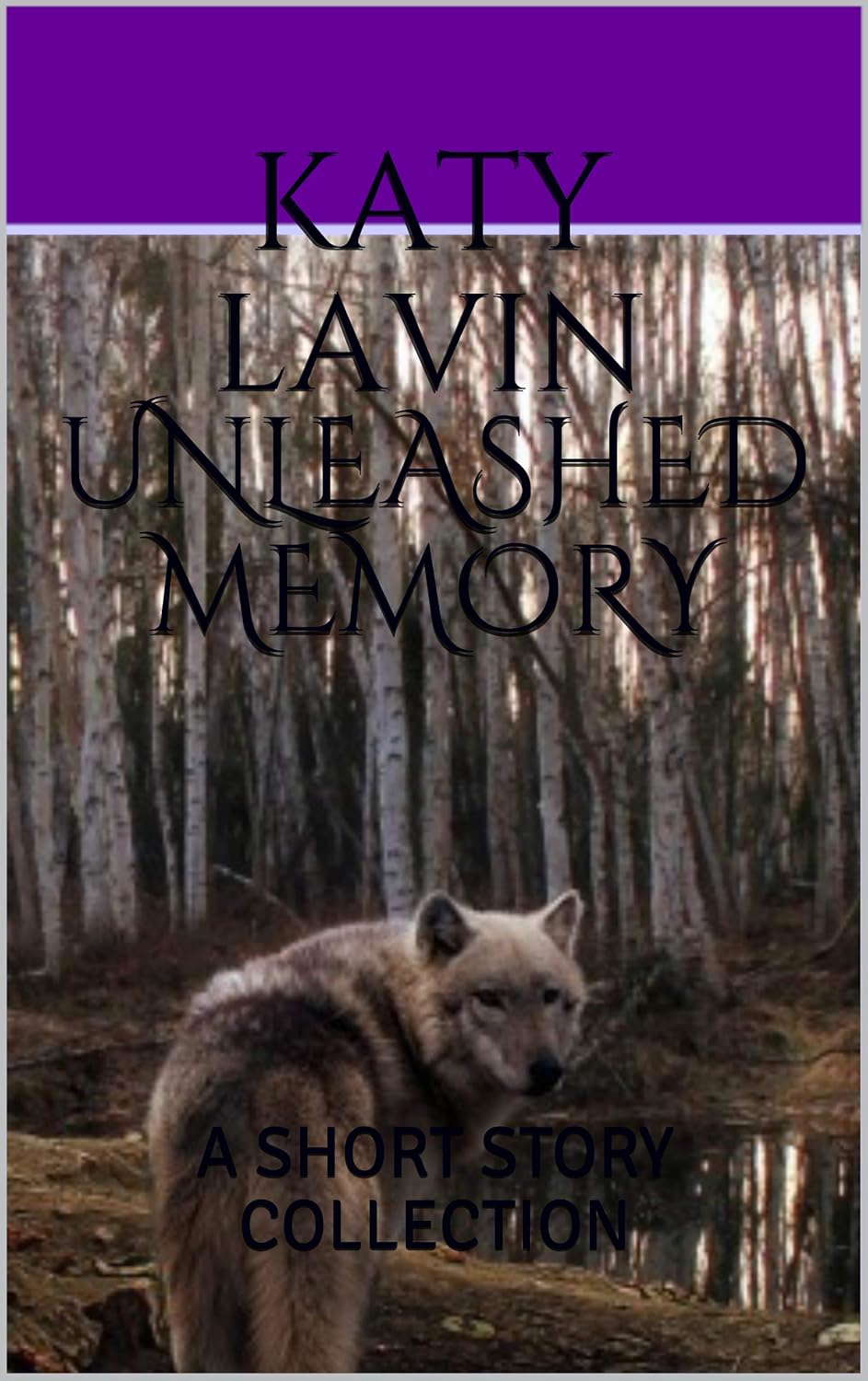 UNLEASHED MEMORY: A SHORT STORY COLLECTION poster