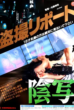 Turtle Vision poster