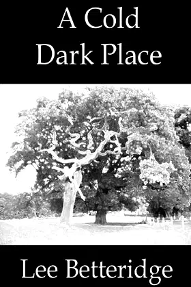A Cold Dark Place poster