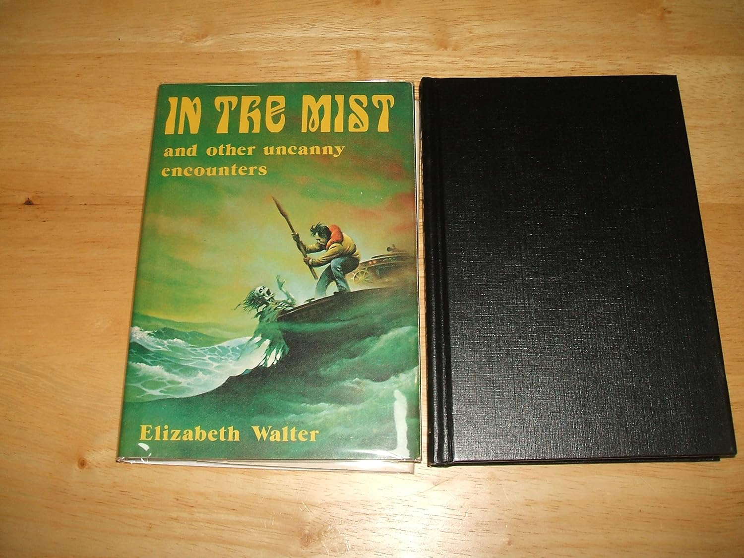 In the Mist and Other Uncanny Encounters poster