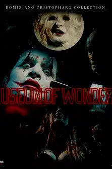 The Museum Of Wonders poster