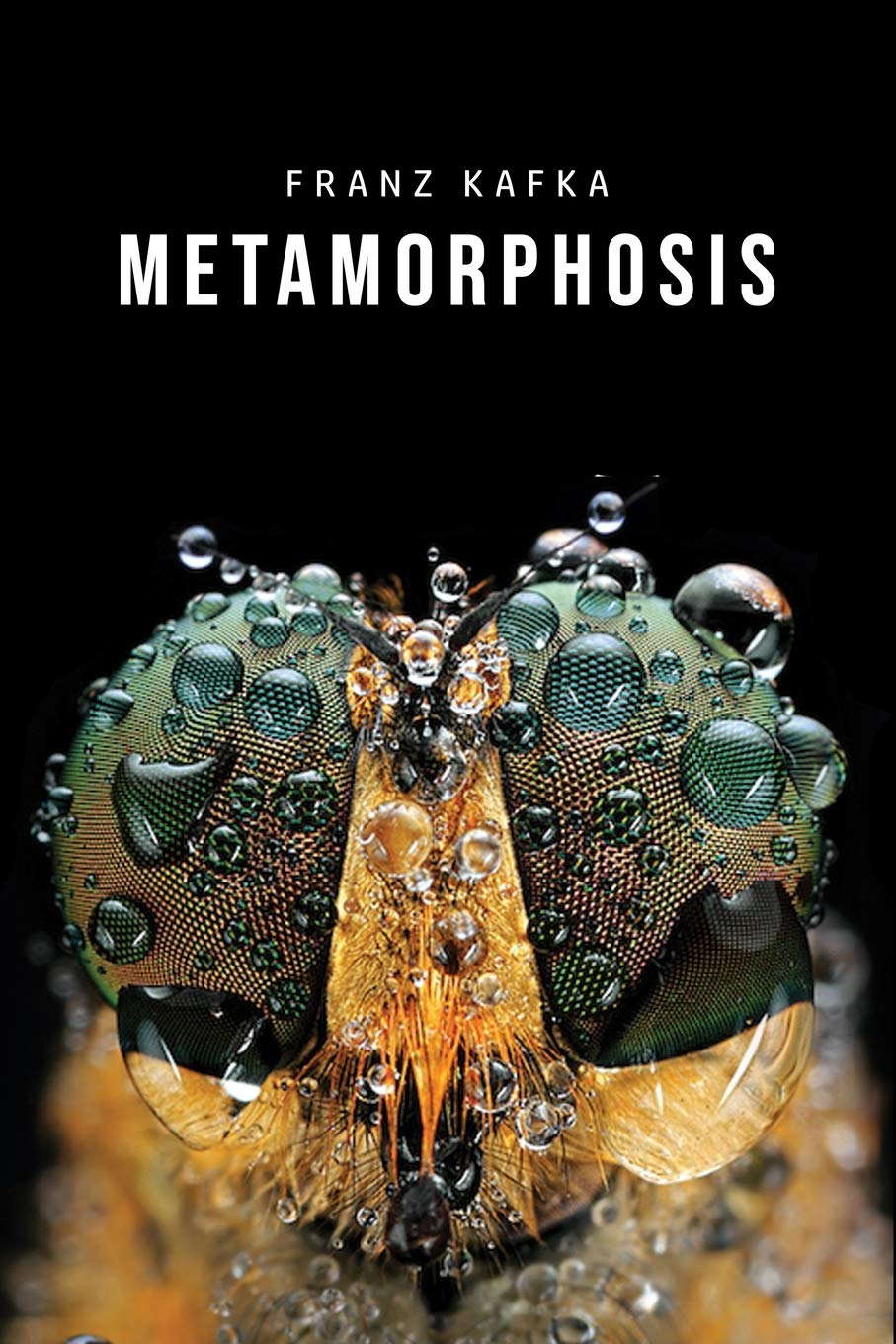 Metamorphosis poster