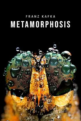 Metamorphosis poster