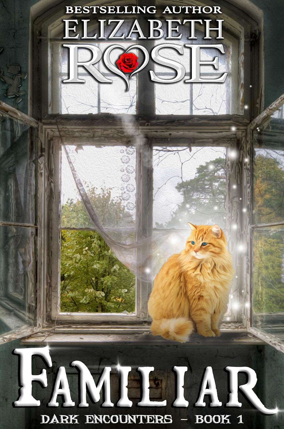 Familiar (Dark Encounters Book 1) poster