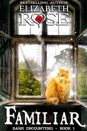 Familiar (Dark Encounters Book 1) poster