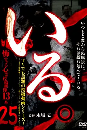 「Iru.」~ Kowasugiru Tōkō Eizō 13-hon ~ Vol.25 poster