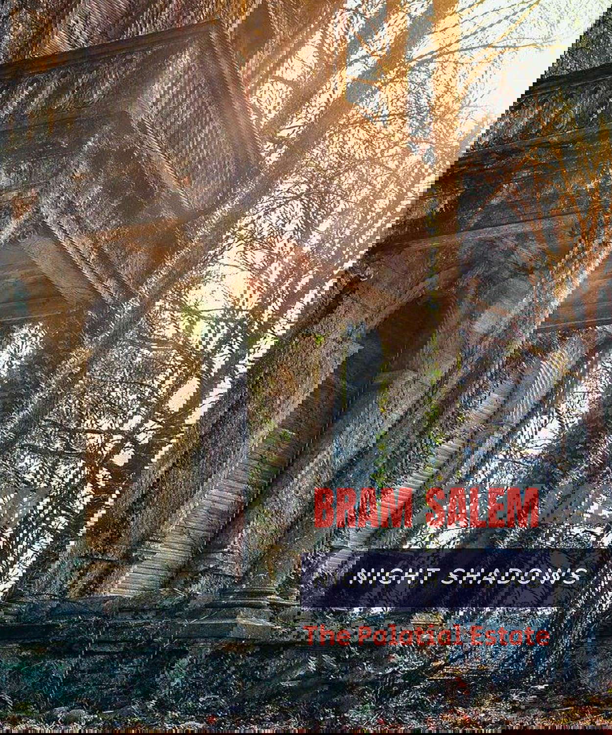NIGHT SHADOWS: THE PALATIAL ESTATE poster