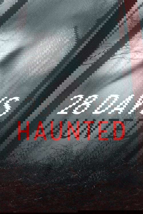 28 Days Haunted poster