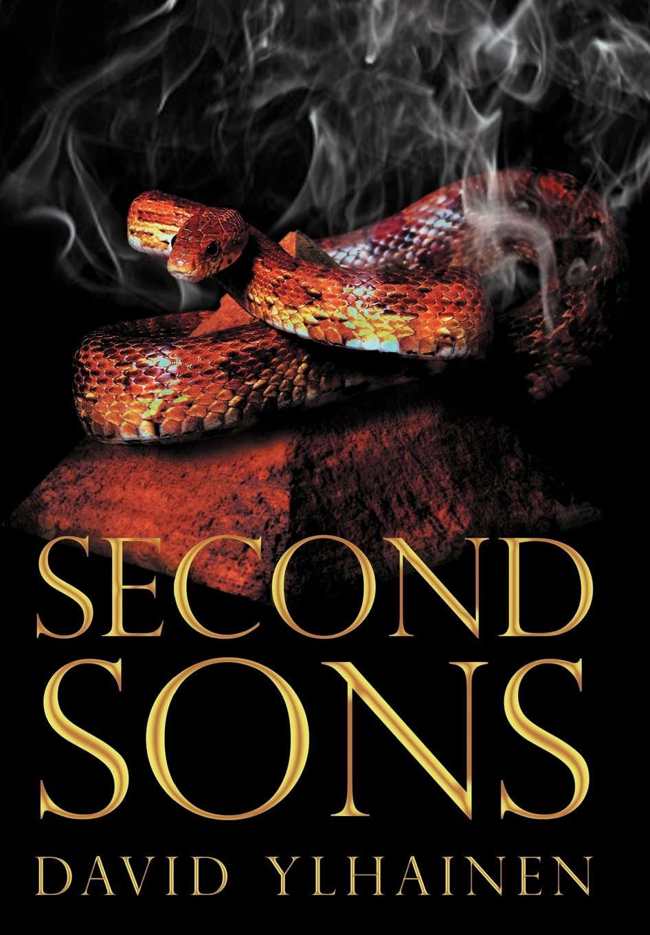 Second Sons poster