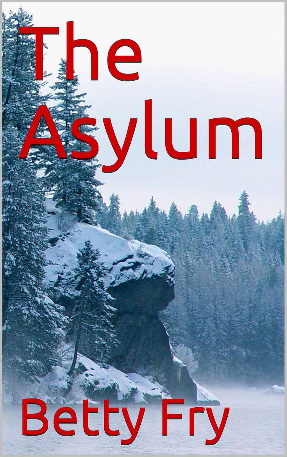 The Asylum poster