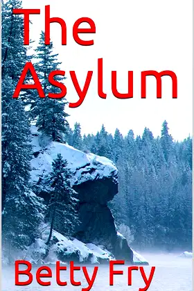 The Asylum poster