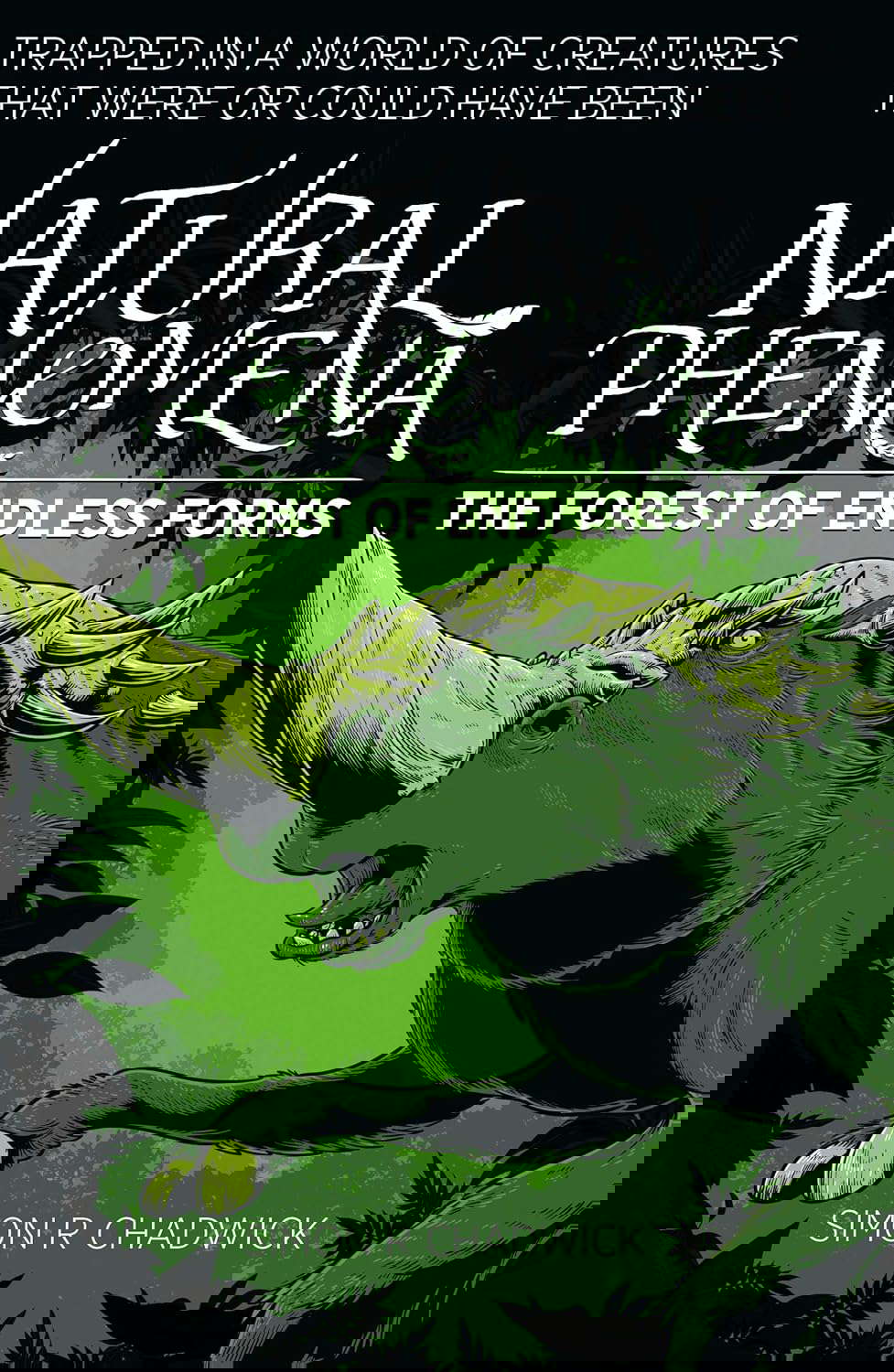 Natural Phenomena: The Forest Of Endless Forms poster
