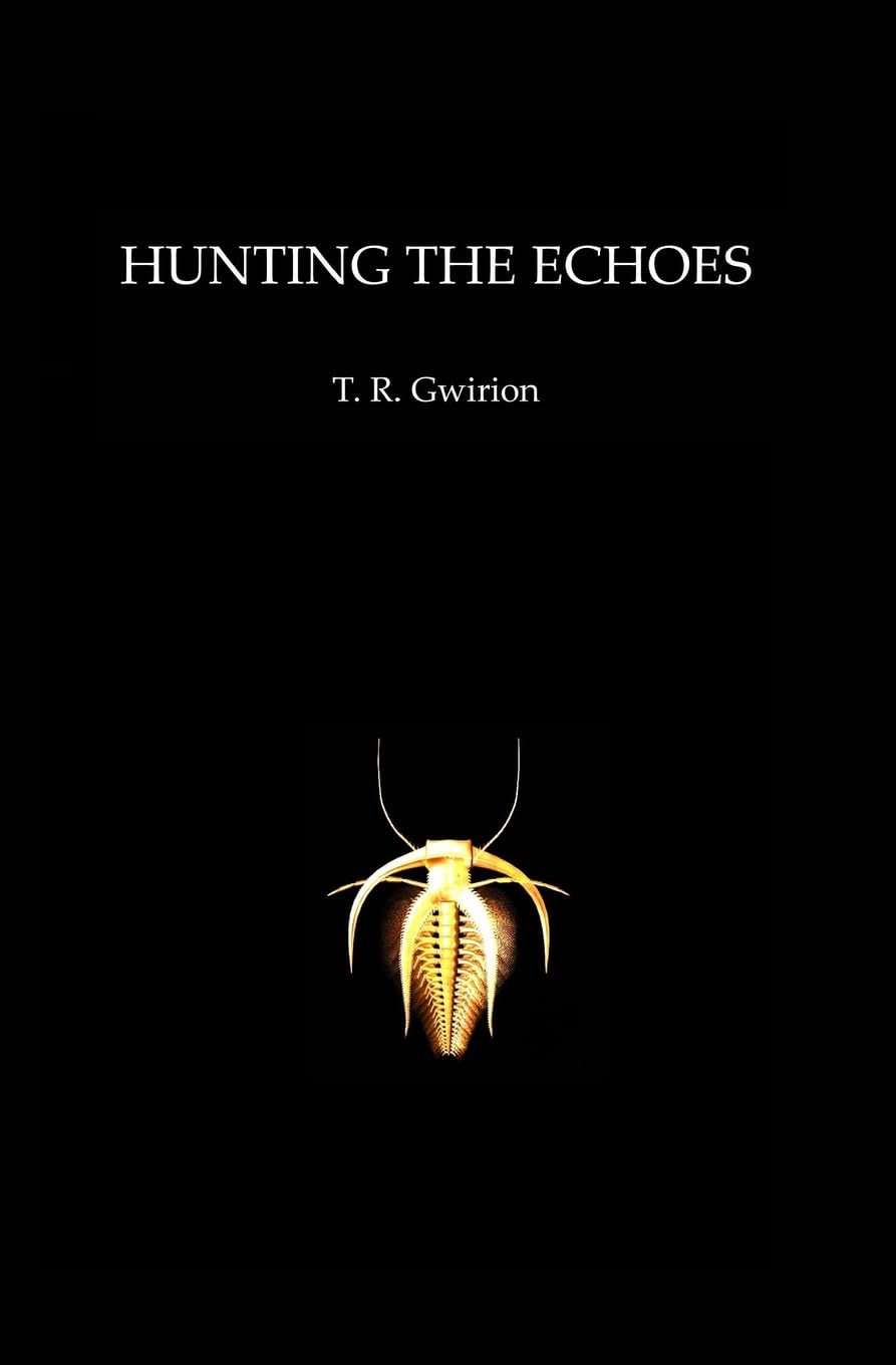 Hunting the Echoes poster