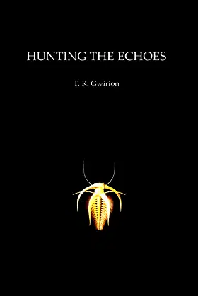 Hunting the Echoes poster