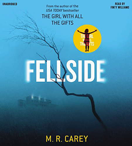 Fellside poster