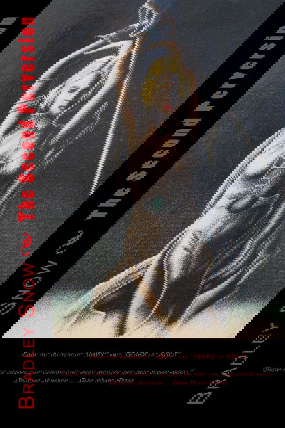 The Second Perversion (Perversions Book 2) poster