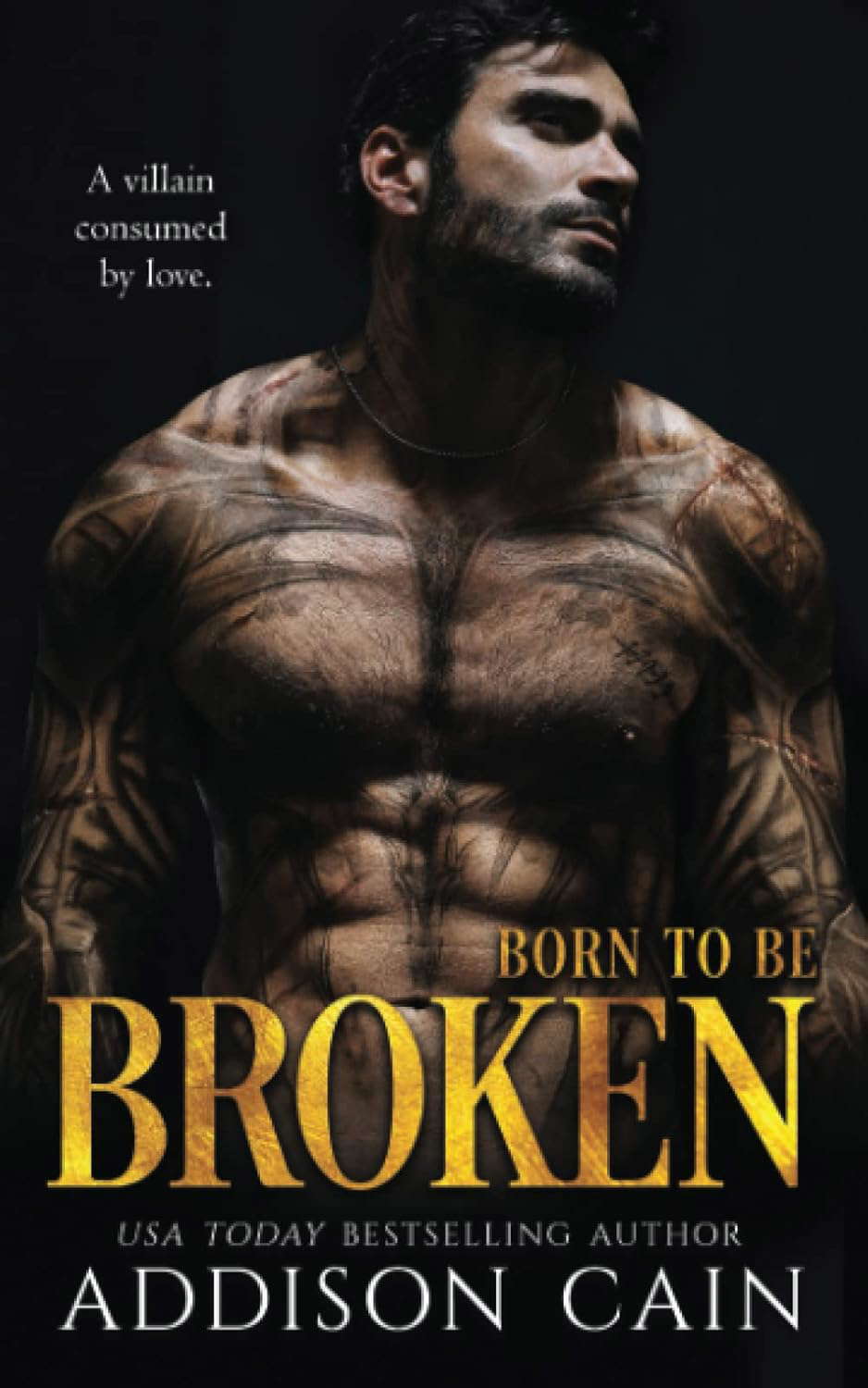 Born to be Broken: A Darkverse Romance Novel (Alpha's Claim) poster