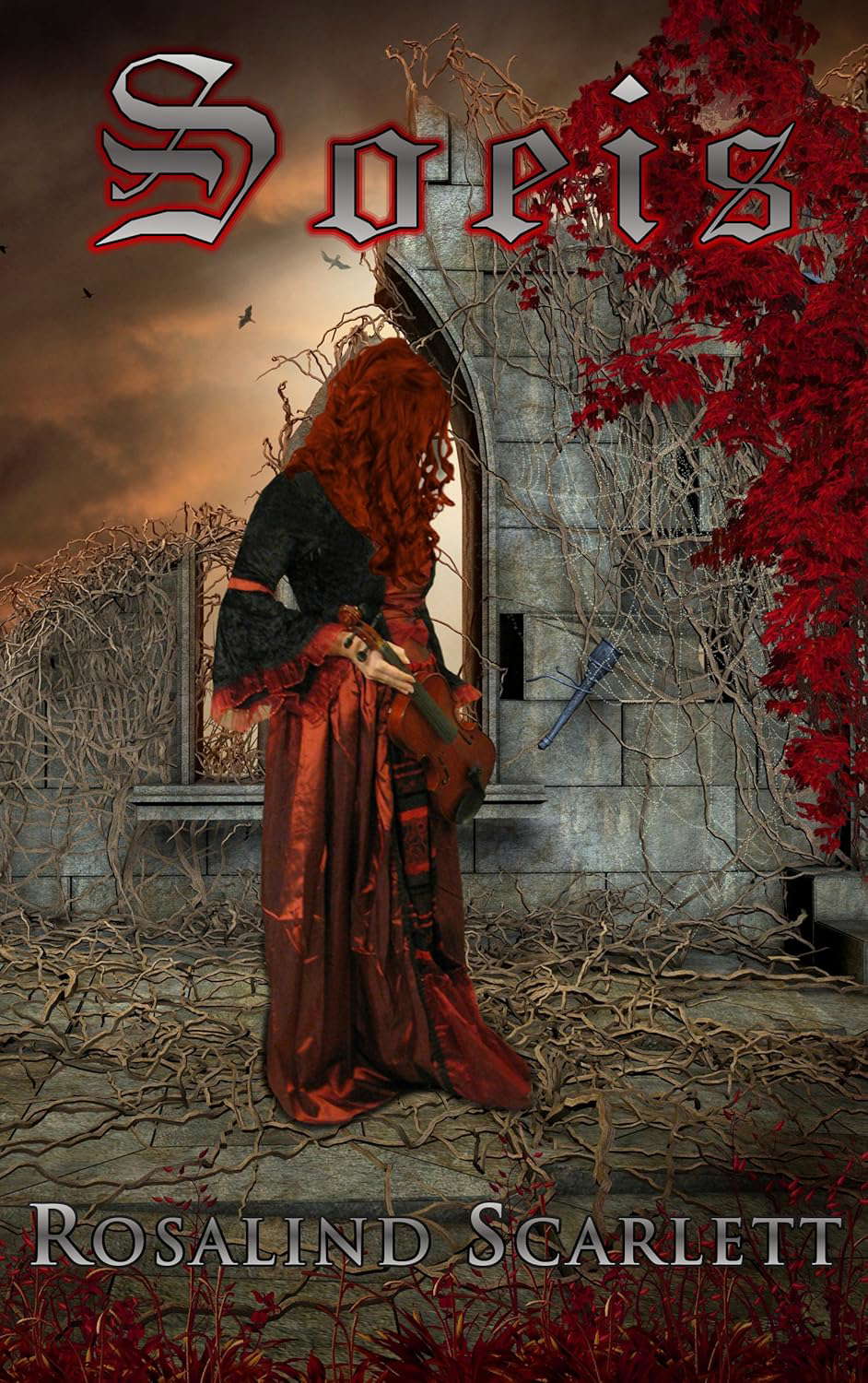 Soeis ("Transformation"): Book II (Anam Céile Chronicles 2) poster