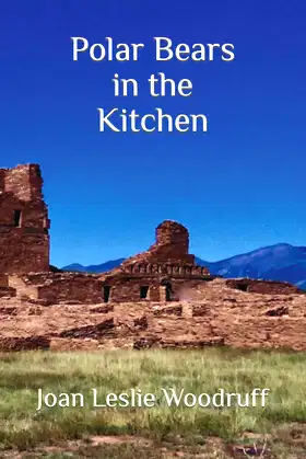 POLAR BEARS in the KITCHEN poster