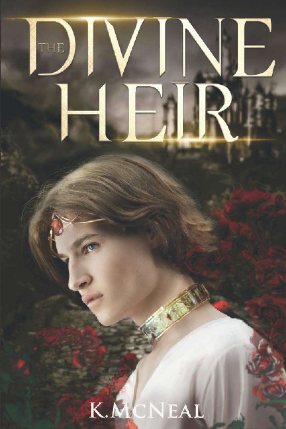 Divine Heir: The Infinite Series poster