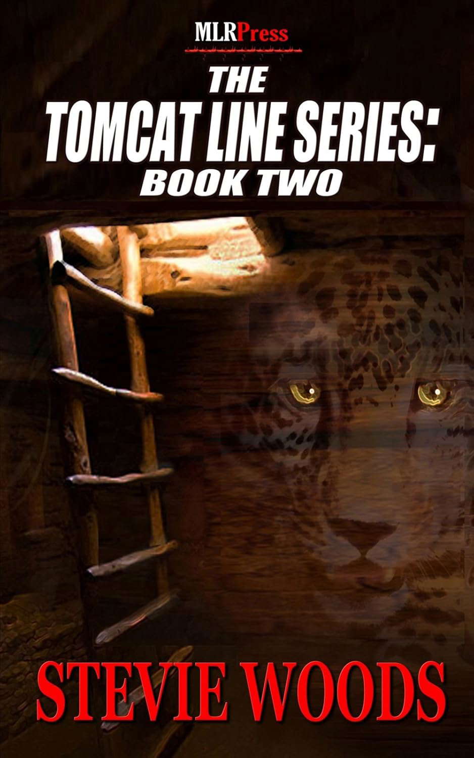 The Tomcat Line Series: 2 poster