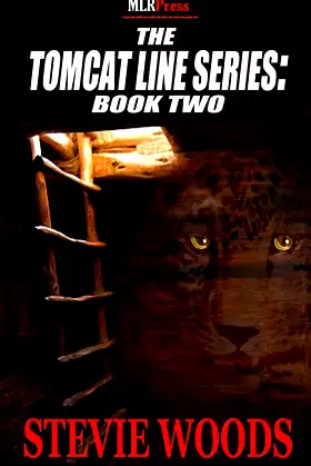 The Tomcat Line Series: 2 poster