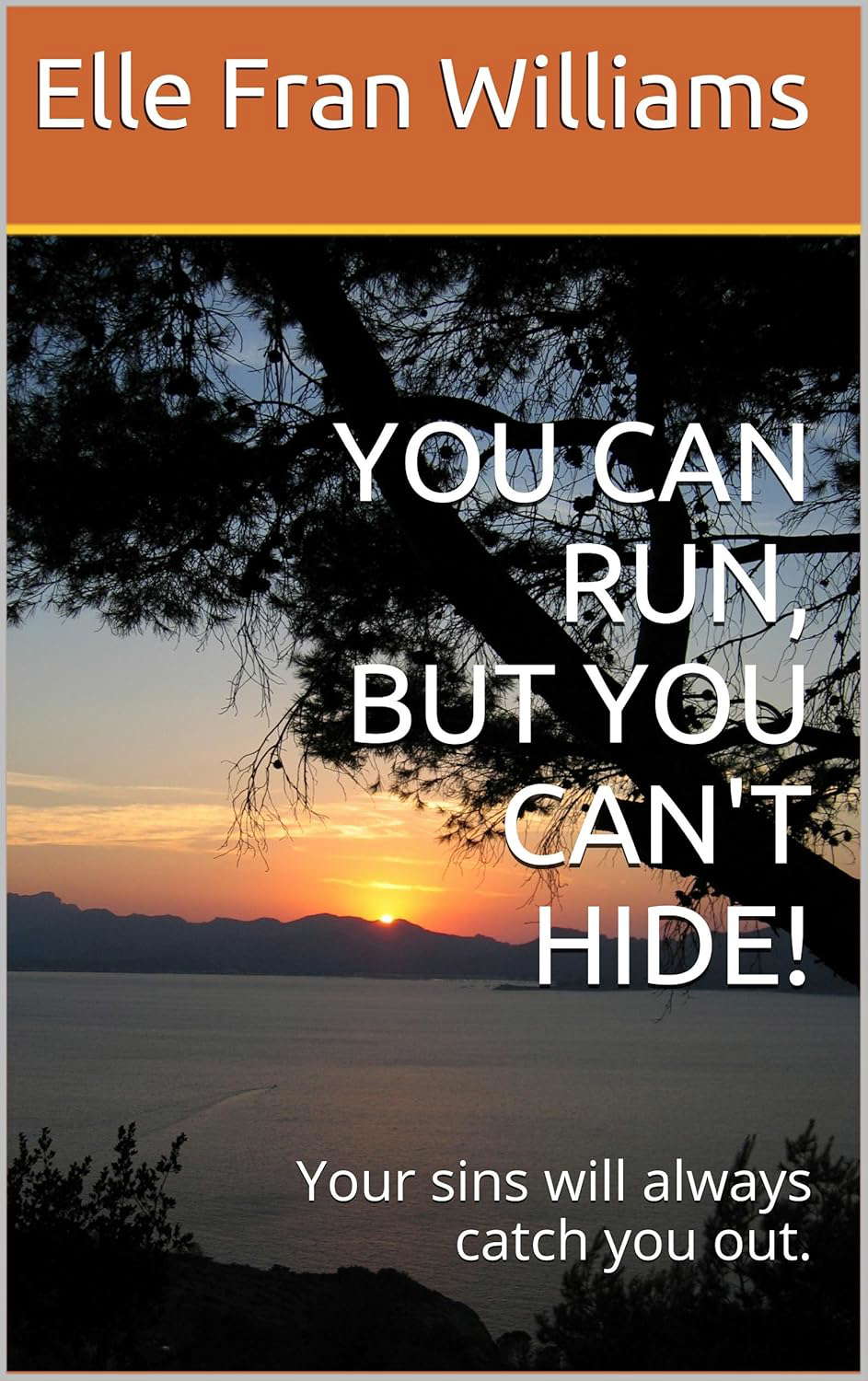 YOU CAN RUN, BUT YOU CAN'T HIDE!: Your sins will always catch you out. poster