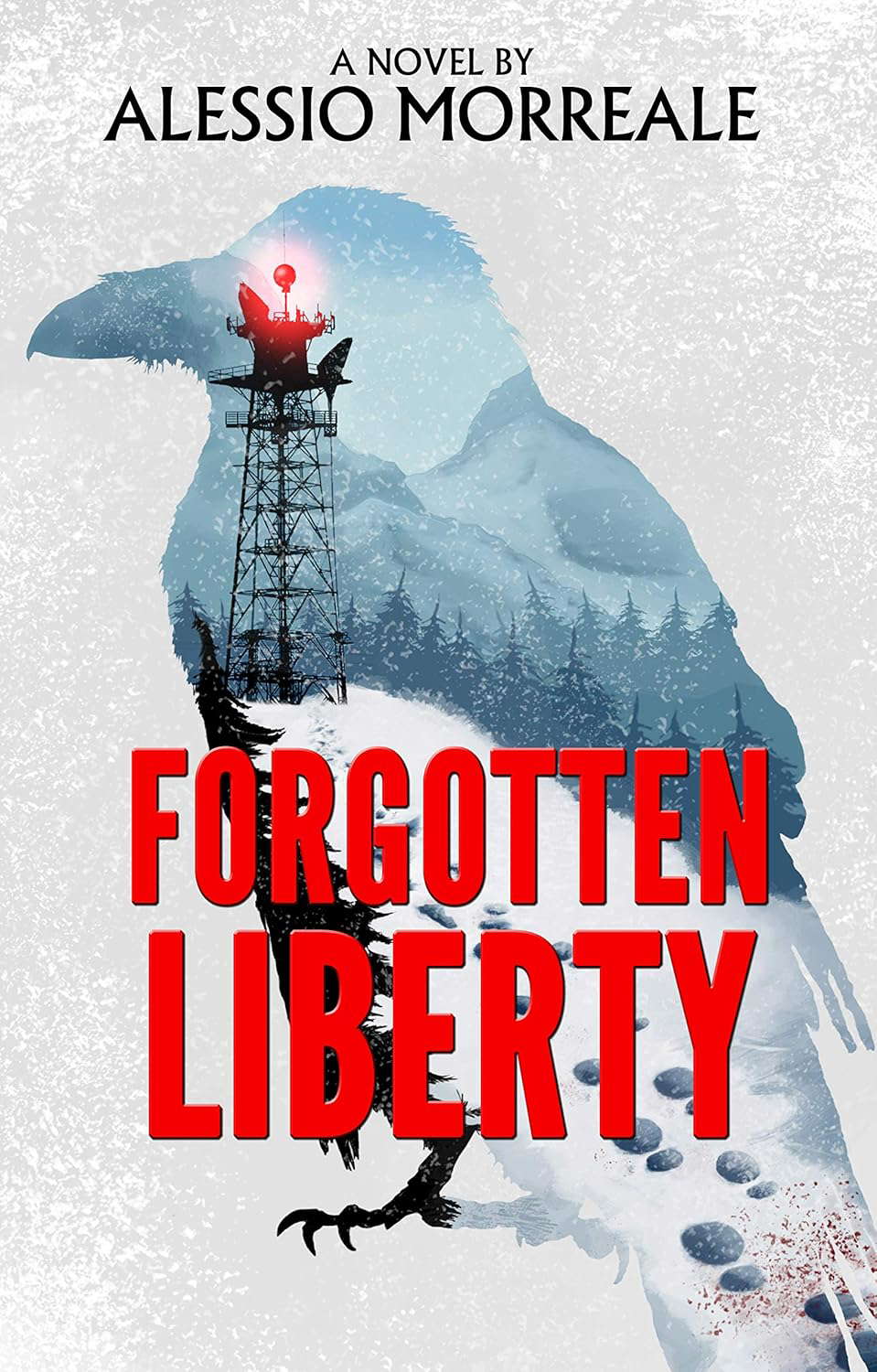 Forgotten Liberty poster