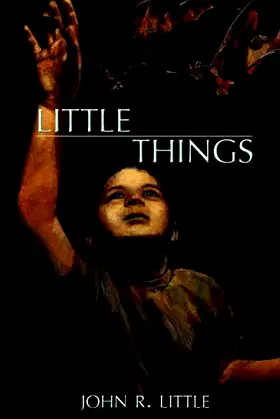 Little Things poster