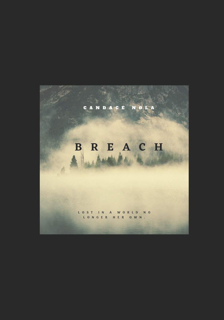 BREACH poster