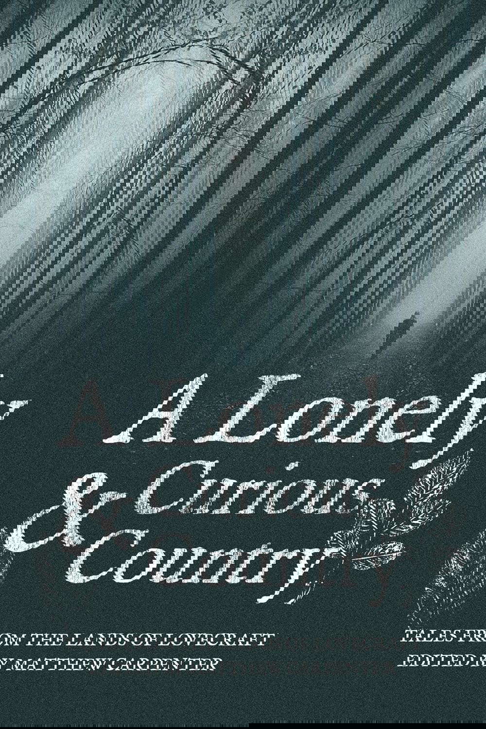 A Lonely and Curious Country poster