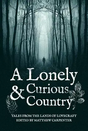 A Lonely and Curious Country poster